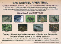 IMGP3694.JPG (868695 bytes)